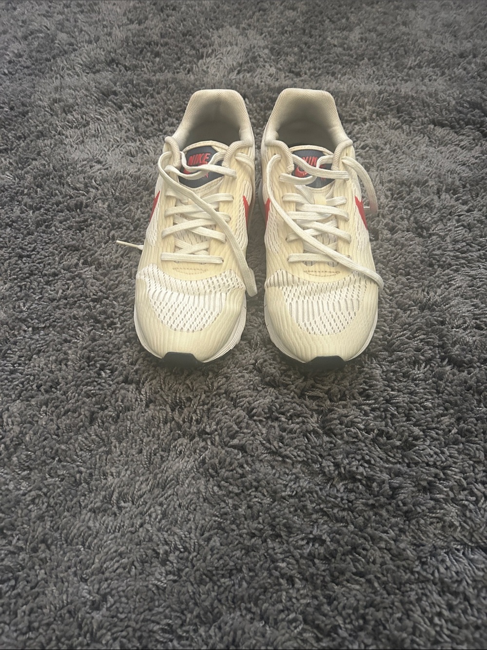 Nike Air Pegasus Olympic Running Shoes